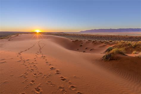 le desert de kalahari en namibie lieux incontournables de la namibie