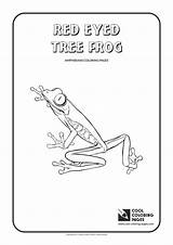 Coloring Tree Frog Eyed Red Pages Sperm Whale Cool Newt Animals Amphibians Print Kids Getcolorings sketch template