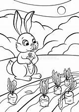 Pagine Coniglio Animali Coloritura Piccolo Sveglio sketch template