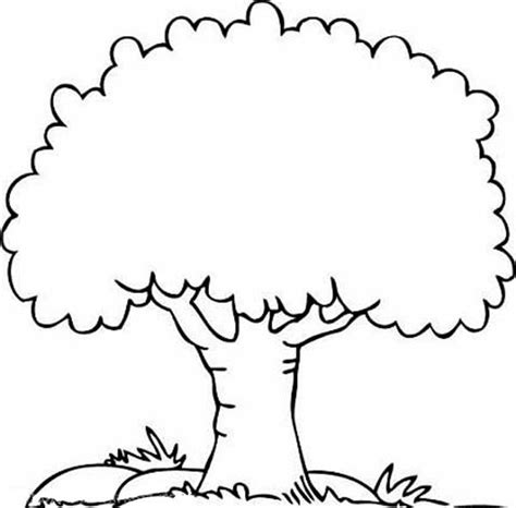 tree coloring pages  coloring pinterest tree clipart clip art