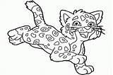Cheetah Coloring Baby Kids Drawing Print Getdrawings sketch template
