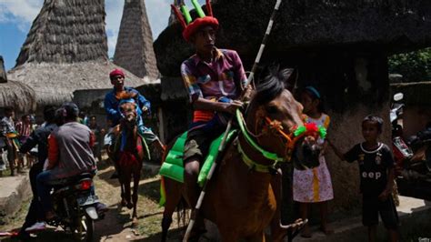 Pasola Festival `berdarah` Di Sumba Bbc News Indonesia