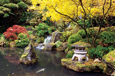 west public gardens portland japanese garden  pond  blessing landscapes