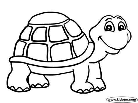 turtle coloring pages   kids ebnu