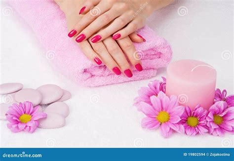 spa pink manicure stock photo image  hand lacquer
