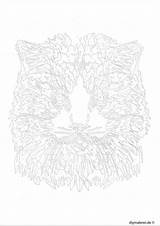 Zahlen Malen Katze Katzen Datei Vorlage sketch template
