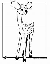 Fawn Coloring sketch template
