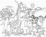 Coloring Pages Animals Jungle Popular sketch template