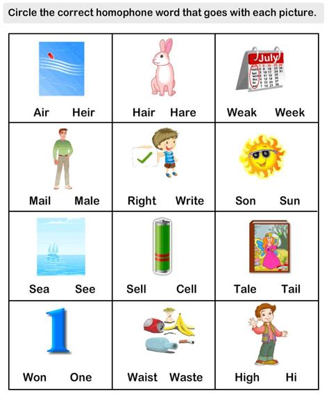 kindergarten worksheets homophones words kindergarten worksheets english language learning