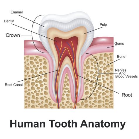 cavity costa mesa dentist answers         cavity