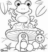 Frog Toad Colorir Bubakids Toads Imprimir Insect Sapinho Coloringbay Catterpillar Frogs Riscos Acessar Páginas Espacoeducar sketch template