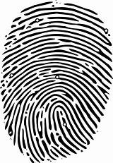 Fingerprint Transparent Clipart Clip Library Fingerprints sketch template