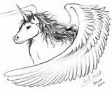 Pegasus Unicorni Sketching Unipeg sketch template