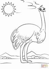 Ostrich Coloring Letter Pages Cartoon Printable Preschool Alphabet Supercoloring Kids Drawing Worksheets Printables Book Crafts Ocean Abc Puzzle Animals Categories sketch template