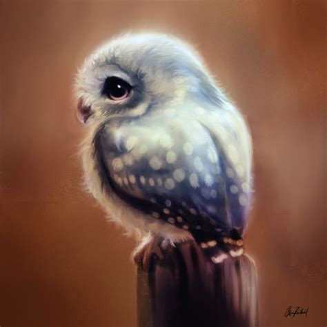 blue owl okan buelbuel  artstation  owl art owl owl painting