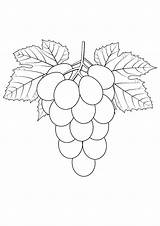 Grapes Coloring Pages Grape Color Kids Print Template sketch template