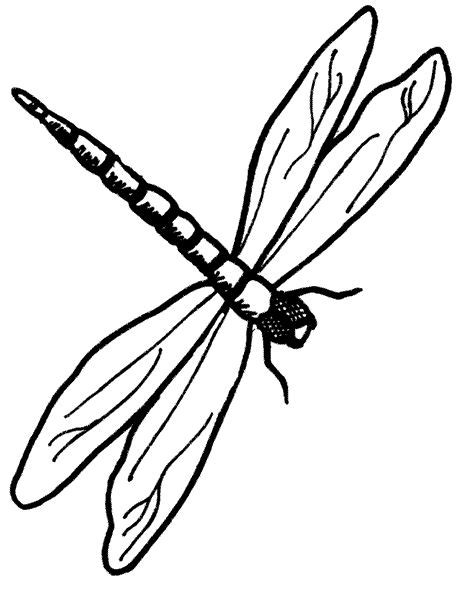printable dragonfly stencil dragonfly printable cards