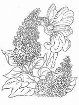 Coloring Pages Lilac Flower Flowers Print Printable sketch template