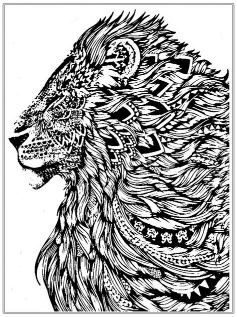 realistic lion adult coloring pages  realistic coloring pages