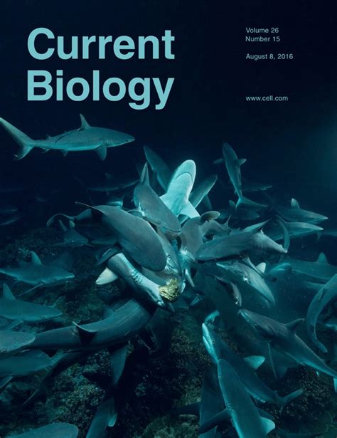 cover  current biology august