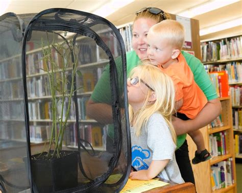 lenawee district library enables patrons to learn about butterflies