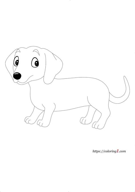 weiner dog coloring pages   coloring sheets