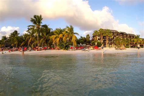 experience   lions dive  beach resort  curacao