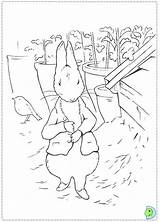 Coloring Rabbit Peter Pages Dinokids Lily Template Close sketch template