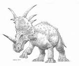 Styracosaurus Prehistoric Albertensis sketch template
