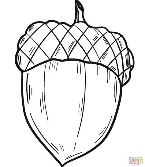 acorn coloring pages  print fall coloring pages fall coloring