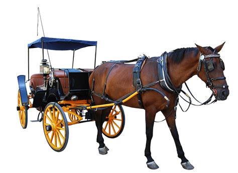 carriage horse vintage  photo  pixabay pixabay