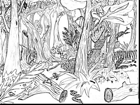 jungle scene coloring pages  getdrawings