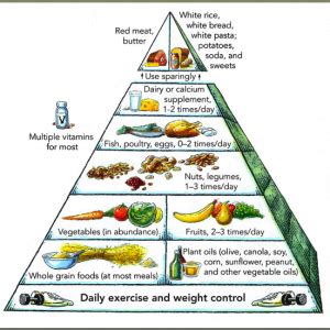 food pyramids doctoryouneedorg