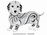 Dachshund Coloring Pages Getdrawings Adult sketch template