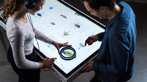 easire magnify interactive scape ausstellungsdesign interaktiv museum fuer naturkunde