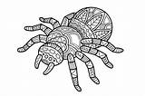 Spinne Zentangle Spindel Spiders Nette Gullig Adinkra Doodle sketch template