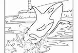 Coloring Whale Orca Pages Killer Blue Kids Color Print Printable Colouring Getcolorings Beluga Jr Disney Drawing Whales Big Getdrawings Shark sketch template