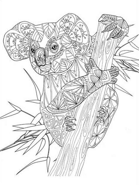 koala coloring pages  adults