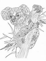 Koala Zentangle Adults sketch template