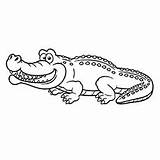 Crocodile Coloring Pages Printable Toddler St Alligator Small Freshwater Cute Top sketch template
