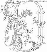 Letters Embroidery Monogram Letter Coloring Alphabet Pages Pattern Monograms Spaces Crafted Antique буквы Fancy Flowered Illuminated Lettera Illustration Library Hand sketch template