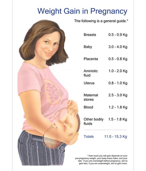 weight gain during pregnancy week by week chart
