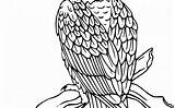 Soaring Coloring sketch template