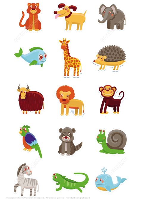 image   animals   grouped