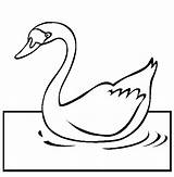 Swan Coloring Pages Color Bird Beautiful Animal Animals Girls Print Back sketch template