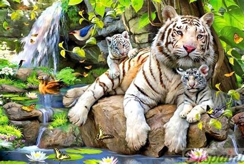 tiger family diamondxpres