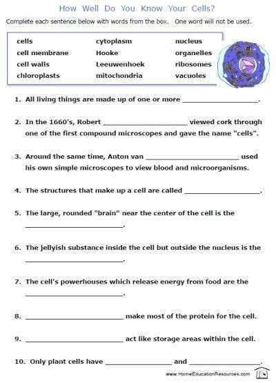 science  biology worksheet