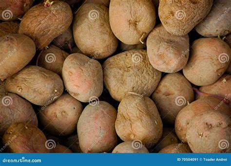 potatoes close  stock image image  potatoes
