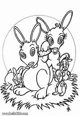 Coloring Family Pages Animal Rabbit Farm Hellokids Printable Animals Over Library Clipart Popular Book Colouring Coloringhome Comments Adults Only sketch template