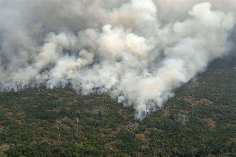 brazil deploys troops  fight amazon fires  international outcry